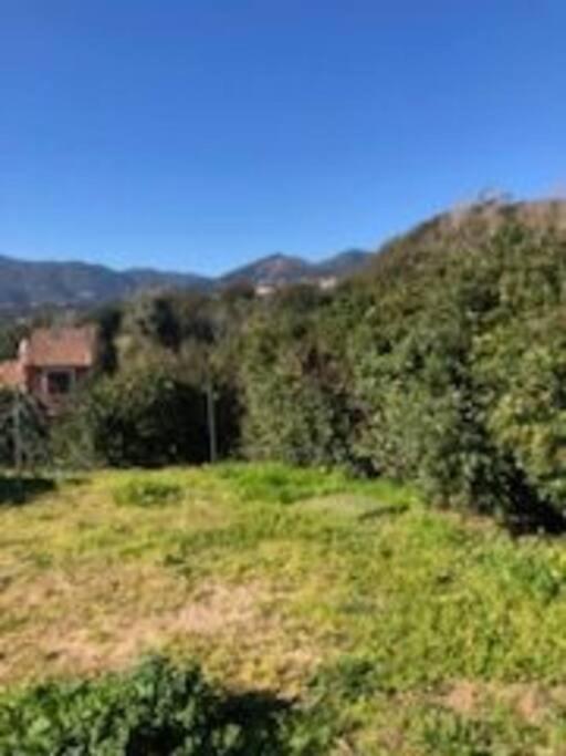 Villa En Corse Du Sud Entre Mer Et Montagne Peri Экстерьер фото